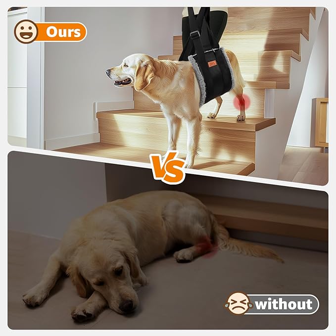 Adjustable Dog Lift Harness, Dog Sling for Large Dogs Hind Leg Support, Soft Lift Support Helps Senior, Injured, Disabled and After ACL Surgery Dogs-Black & Grey (Large)