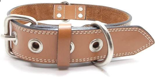 Genuine Leather Dog Collars with Stainless Steel Buckle and Double D Rings– Unbreakable! (15"-18", Tan)
