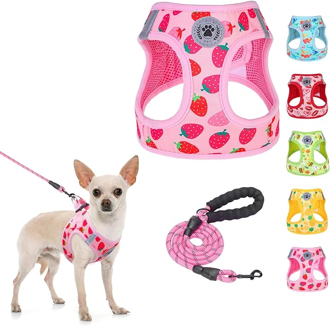 BEAUTYZOO Step in Dog Harness and Leash Set,Reflective Dog Harness No Pull No Choke Puppy Harness for Small Medium Large Dogs Cats,Soft Padded Mesh Vest Harnesses for Girl and Boy Pets, Strawberry XS