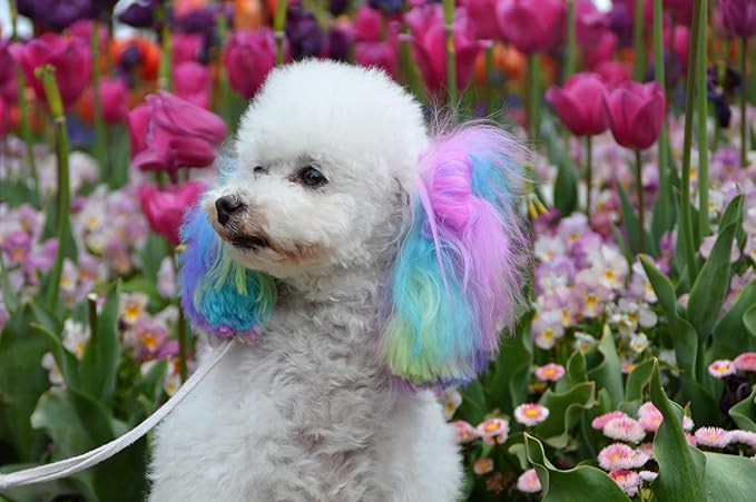 Canine Color Semi Perm Coat Color Shampoo for Dogs by Warren London | A Longer Lasting Option to Dog Hair Dye Temporary Coloring | Wash-in Pet Safe Dye for Dogs, Horses, Rabbits! Lilac-ing My Paws