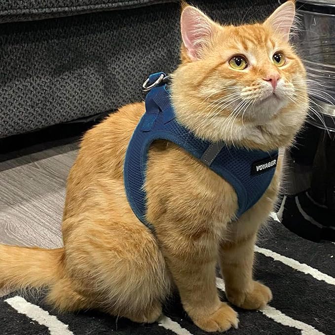 Voyager Step-in Air Dog Harness - All Weather Mesh, Reflective, No Pull Harness for Small, Medium Dogs, Cats - Secure with Hook & Loop Fastener, Buckle, Double D-Rings - Blue, XS