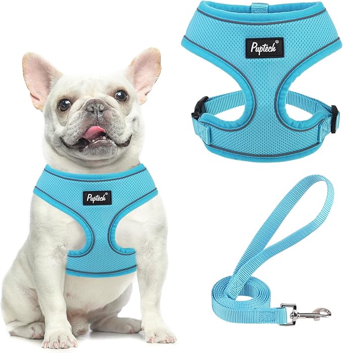 PUPTECK Soft Mesh Dog Harness and Leash Set Pet Puppy Cat Comfort Padded Vest No Pull Harnesses, Solid LightBlue, S