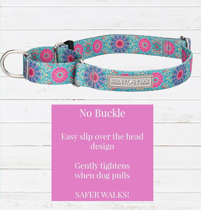 Lucky Love Dog, Boho Chic Martingale Dog Collar for Girl Boy Dogs, Premium No Slip Collar, Vivid Pink and Turquoise Martingale Collar for Dogs (Small, Clara Mart)