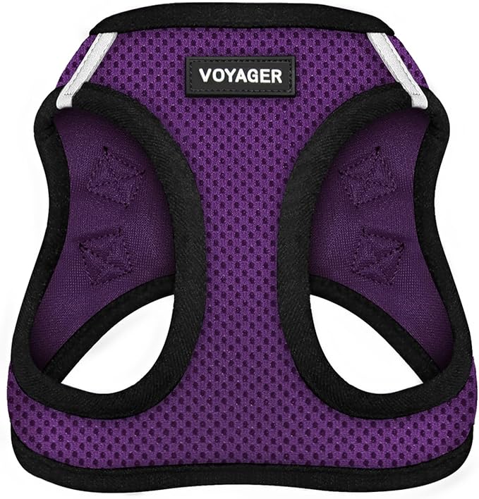 Voyager Step-in Air Dog Harness - All Weather Mesh, Reflective, No Pull Harness for Small, Medium Dogs, Cats - Secure with Hook & Loop Fastener, Buckle, Double D-Rings - Purple/Black Trim, S