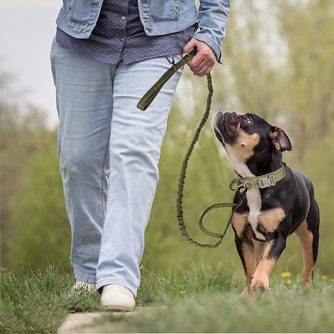 KCUCOP Tactical Dog Collar, Heavy Duty Dog Collar with Handle and Metal Buckle, Military Thick Dog Collars for Medium and Large Dogs(Green-Reflective Set-L, 1 Patch)