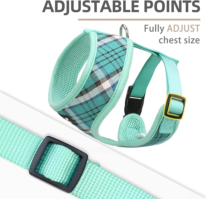 PUPTECK Soft Mesh Dog Harness and Leash Set Pet Puppy Cat Comfort Padded Vest No Pull Harnesses, Green, M