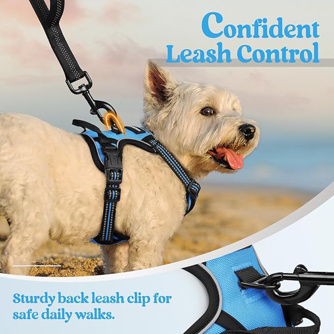 rabbitgoo Dog Harness, No-Pull Pet Harness with 2 Leash Clips, Adjustable Soft Padded Dog Vest, Reflective No-Choke Pet Oxford Vest with Easy Control Handle for Small Dogs, Blue, XS
