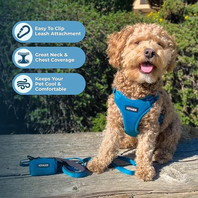 Best Pet Supplies Voyager Adjustable Dog Harness Leash Set with Reflective Stripes for Walking Heavy-Duty Full Body No Pull Vest with Leash D-Ring, Breathable All-Weather - Harness (Turquoise), XS