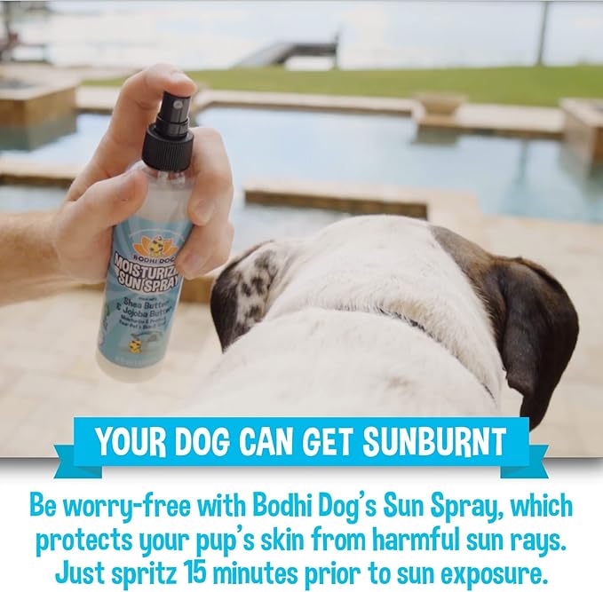 Bodhi Dog Sunscreen Moisturizing Pet Sun Spray - Safe for Dogs, Cats & Horses - Natural Protection for Skin, Coat, Nose, Ears - Hydrating & Non-Toxic - Made in USA (8 Fl Oz)
