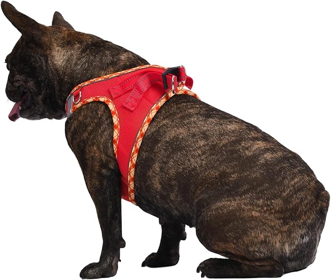 AMTOR Small Dog Harness with Leash Set, No Escape Easy Walk Puppy Harnesses for Training Walking, Step-in Reflective Soft Dogs Vest for XS S Medium Extra-Small Large Sized Dog(Red)