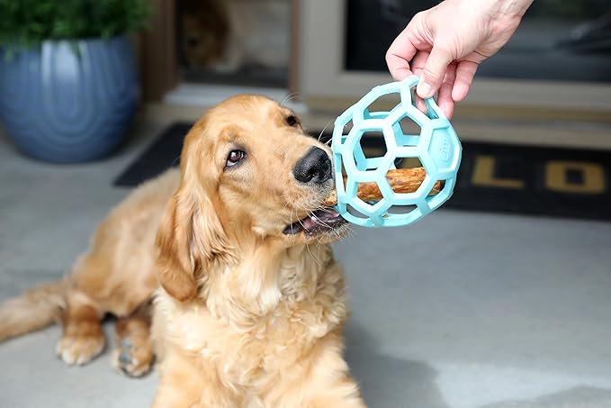 JW Pet HOL-ee Roller™, Dog Toy Puzzle Ball, Natural Rubber, Large (5.5” Inch Diameter), Blue
