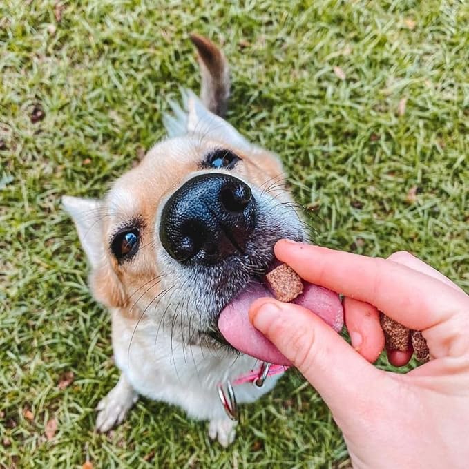 HOLI Elk & Venison Freeze Dried Dog Treats - All Natural and Wild Caught | Vitamin and Mineral Fortified | Made in USA - Human Grade - Grain Free - Diabetic Friendly - 6oz