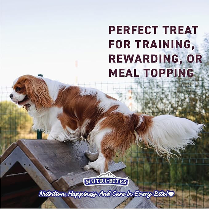 Nutri Bites Freeze Dried Beef Recipe Dog & Cat Treats, 9oz | Healthy Pet Training Treats or Food Topper | All Natural, Single Ingredient, High Protein | Great for All Breeds