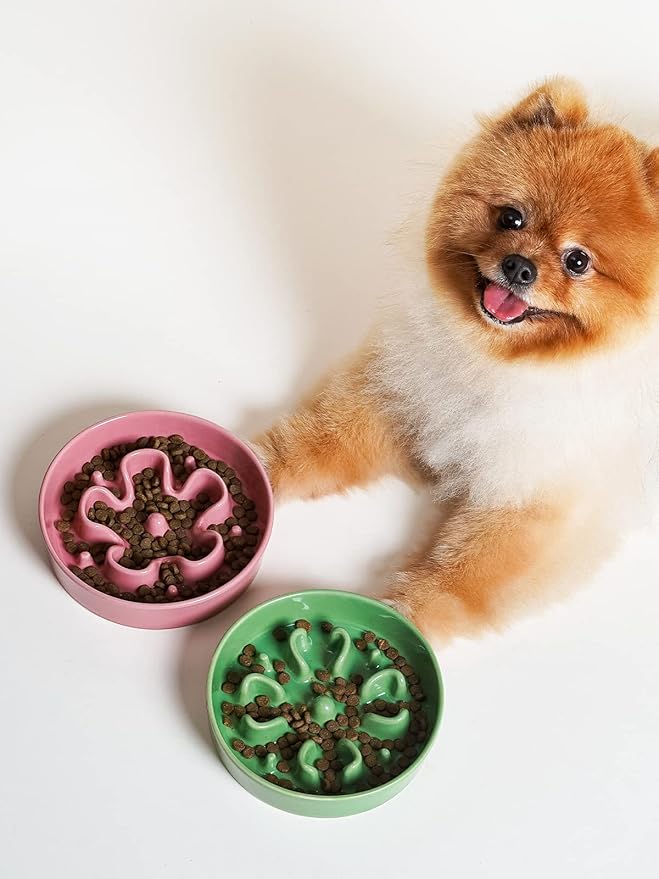 LE TAUCI Ceramic Slow Feeder Dog Bowls Small Breed, 0.6 Cups Dog Food Dish for Fast Eaters, Puzzle Bowl for Small Dogs and Cats,Green