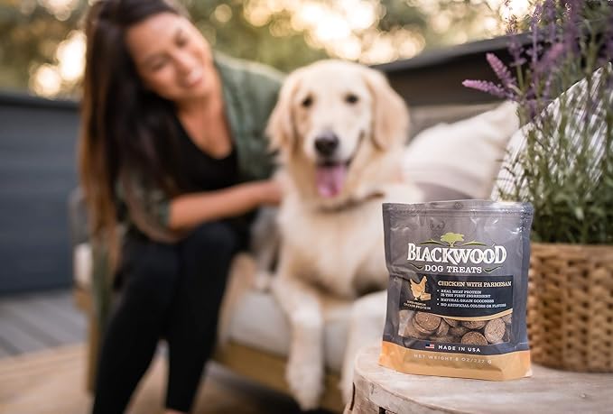 Blackwood Pet Food Oven Baked Dog Treats Made in USA [Natural Dog Treats for Healthy Snacks] Perfect for Dog Training Treats, Chicken with Parmesan, Brown (22609)
