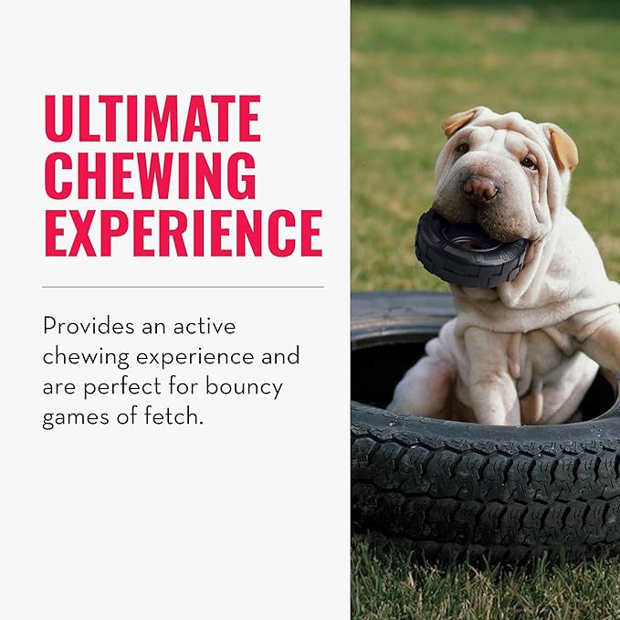 KONG Extreme Tires - KONG's Most Durable Natural Rubber Chew & Fetch Toy - Treat Dispenser Dog Tire Toy - Pet Supplies for Outdoor & Indoor Play - For Small Dogs