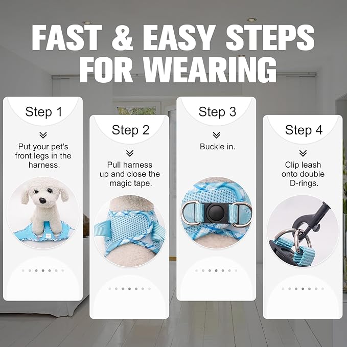 BEAUTYZOO Dog Harness and Leash Set for Small Medium Dogs,No Pull Step-in Harness for Puppy S M Sized Dogs and Cats,Air Mesh Adjustable Breathable Soft No Chock Escape Proof Vest Harness,Sky Blue S