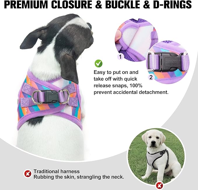 BEAUTYZOO Dog Harness and Leash Set for Small Dogs,No Pull Step-in Harness for Puppy XS S Sized Dogs and Cats,Air Mesh Adjustable Breathable Soft No Chock Escape Proof Vest Harness,Striped Purple XXS