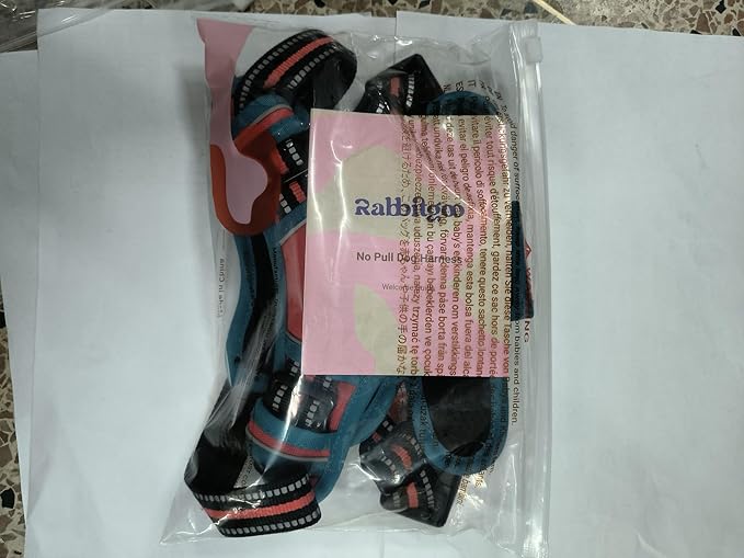 rabbitgoo Dog Harness, No-Pull Pet Harness with 2 Leash Clips, Adjustable Soft Padded Dog Vest, Reflective No-Choke Pet Oxford Vest with Easy Control Handle for Small Dogs, Red,XS