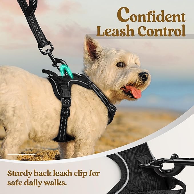 rabbitgoo Dog Harness, No-Pull Pet Harness with 2 Leash Clips, Adjustable Soft Padded Dog Vest, Reflective No-Choke Pet Oxford Vest with Easy Control Handle for Small Dogs, Black, X-Small