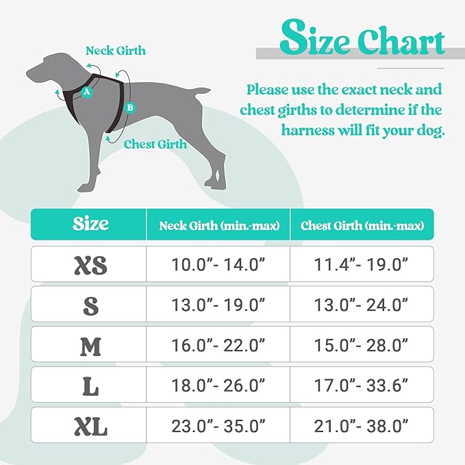 rabbitgoo Dog Harness, No-Pull Pet Harness with 2 Leash Clips, Adjustable Soft Padded Dog Vest, Reflective No-Choke Pet Oxford Vest with Easy Control Handle for Large Dogs, Black & Turquoise, XL