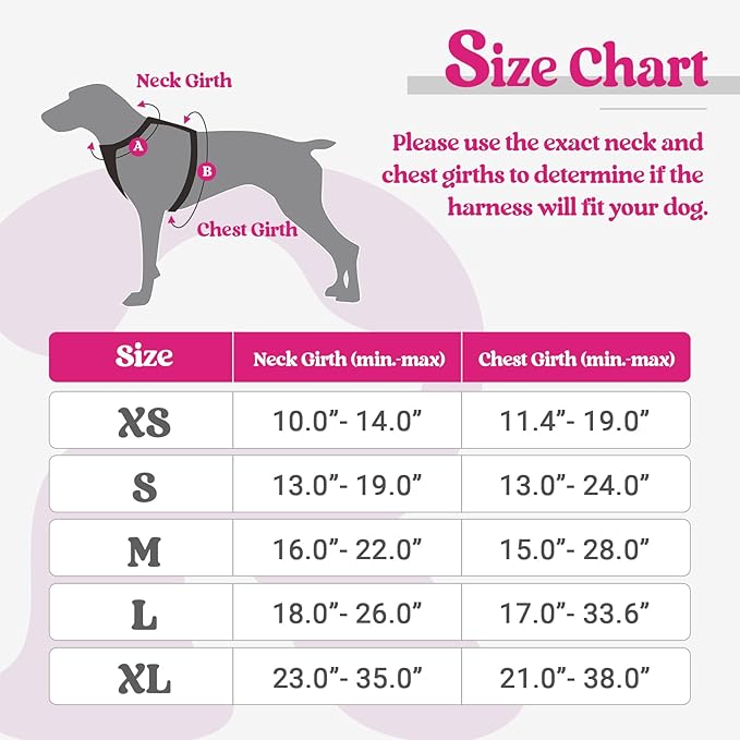 rabbitgoo Dog Harness, No-Pull Pet Harness with 2 Leash Clips, Adjustable Soft Padded Dog Vest, Reflective No-Choke Pet Oxford Vest with Easy Control Handle for Medium Dogs, Hot Pink, M
