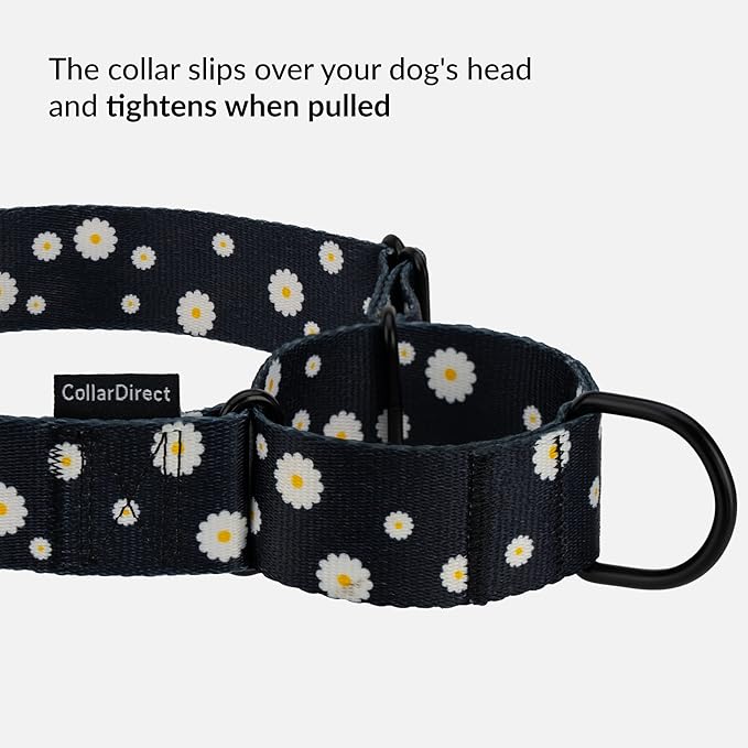 CollarDirect Martingale Collars for Dogs Heavy Duty Floral Pattern Female Safety Nylon Training Wide Collar Flower Design Large Medium (L, Neck Size 15"-20", Black)