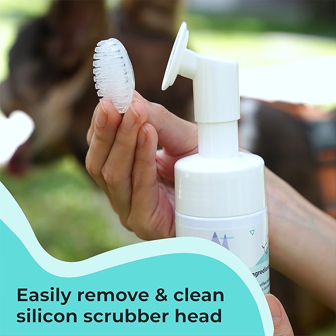 GENTLE CREATURES Magic Foam - Scrubber - Sulfate-Free, Waterless Shampoo Paw Cleaner for Dogs, Cats, Pets - Dry Shampoo, Foot Cleaner Brush - with Orange, Odor Control Wash - Good for Puppy