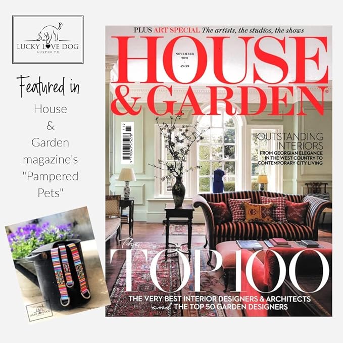 Lucky Love Dog Martingale Collar and Leash Set, Premium No Slip Collar and Leash Set, Floral Vivid Pattern Martingale Collar, Great for Whippets, Greyhounds, and More (Blackbird, Large - Combo)