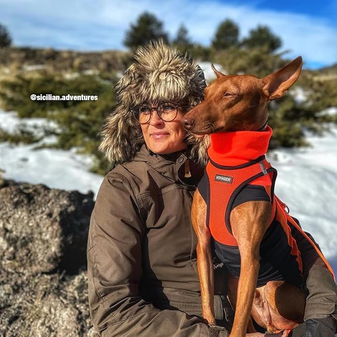 Voyager Step-in Air Dog Harness - All Weather Mesh, Reflective, No Pull Harness for Small, Medium Dogs, Cats - Secure with Hook & Loop Fastener, Buckle, Double D-Rings - Orange/Black Trim, XXXS