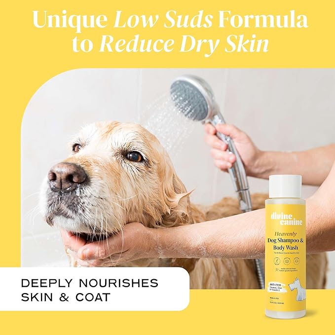 Heavenly Dog Shampoo & Body Wash - Anti-Itch - Dog Shampoos - pH Balanced Conditioning Dog Bath Blend with Collagen, Aloe, Coconut Milk, Vitamin E - Soothe Itchy Skin & Coat - 13.5oz