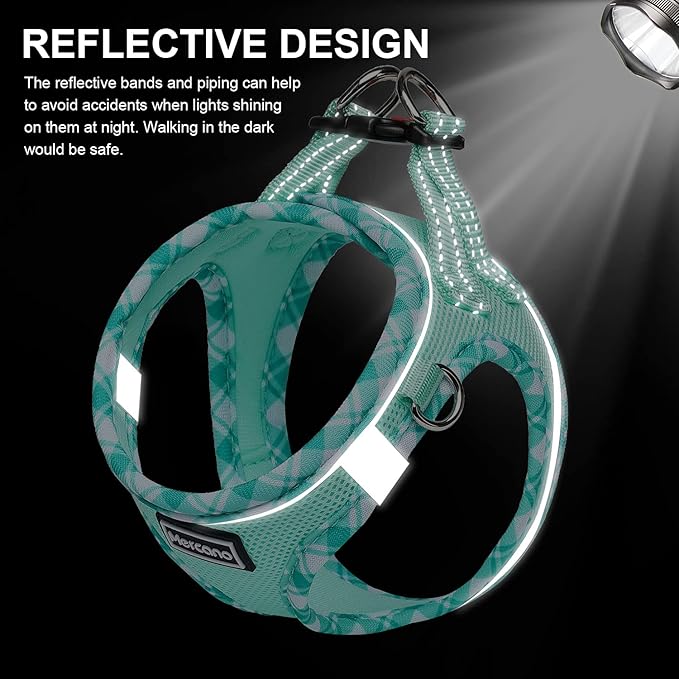 Mercano Soft Mesh Dog Harness and Leash Set, No-Chock Step-in Reflective Breathable Lightweight Easy Walk Escape Proof Vest Harnesses with Safety Buckle for Small Medium Dogs, Cats (Light Green, S)