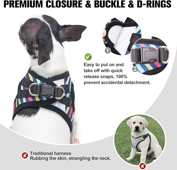 BEAUTYZOO Dog Harness and Leash Set for Small Dogs,No Pull Step-in Harness for Puppy XS S Sized Dogs and Cats,Air Mesh Adjustable Breathable Soft No Chock Escape Proof Vest Harnesses,Striped Teal XXS