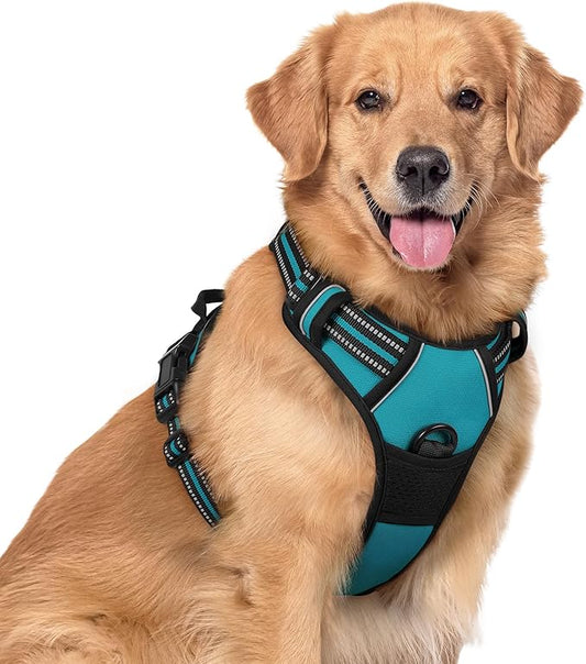 rabbitgoo Dog Harness, No-Pull Pet Harness with 2 Leash Clips, Adjustable Soft Padded Dog Vest, Reflective No-Choke Pet Oxford Vest with Easy Control Handle for Large Dogs, Teal, XL
