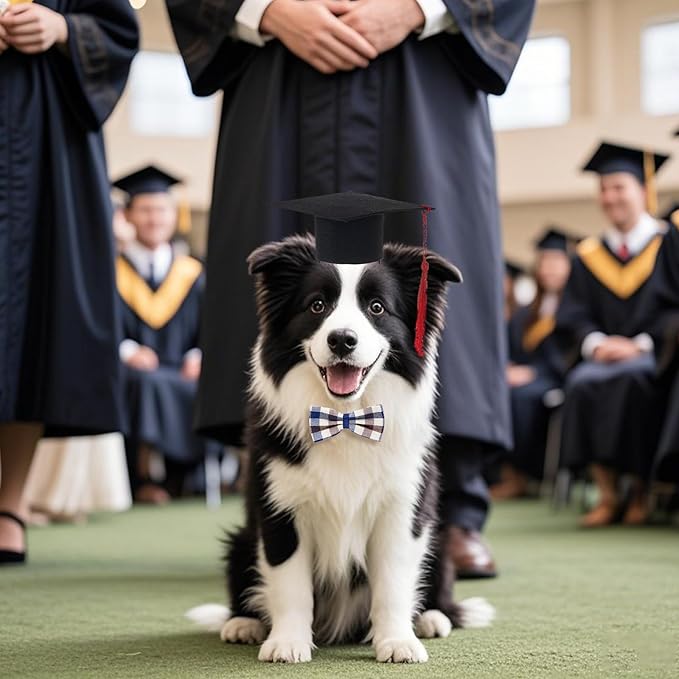 Pet Graduation Cap with Bowtie Collar Set, Small Dogs Cats Graduation Outfits Party Dress Costume Accessory (Gray)