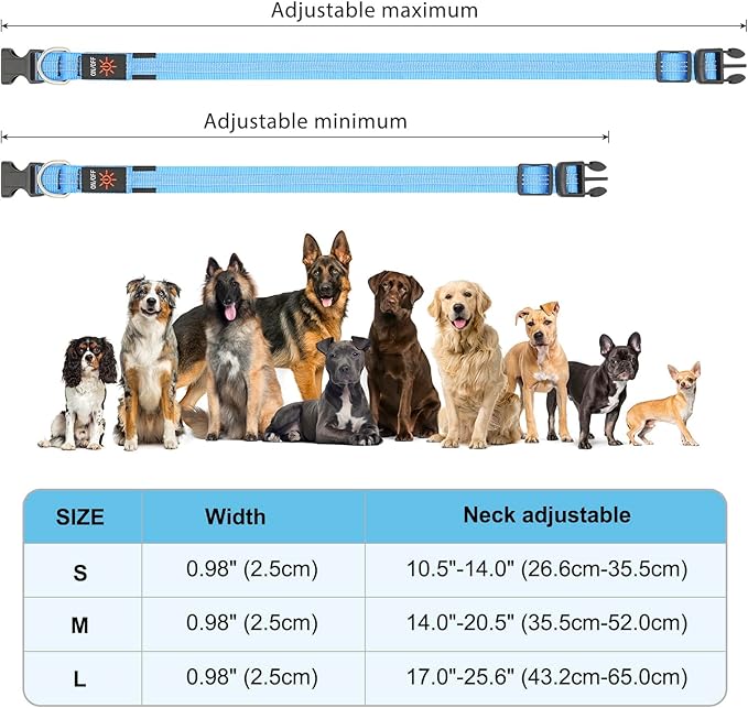 Light Up Dog Collar - BSEEN LED Dog Collar Rechargeable Lighted Dog Collar Reflective Glow Collars for Dogs, Super Bright Dog Lights for Night Walking (Blue-II, Large)
