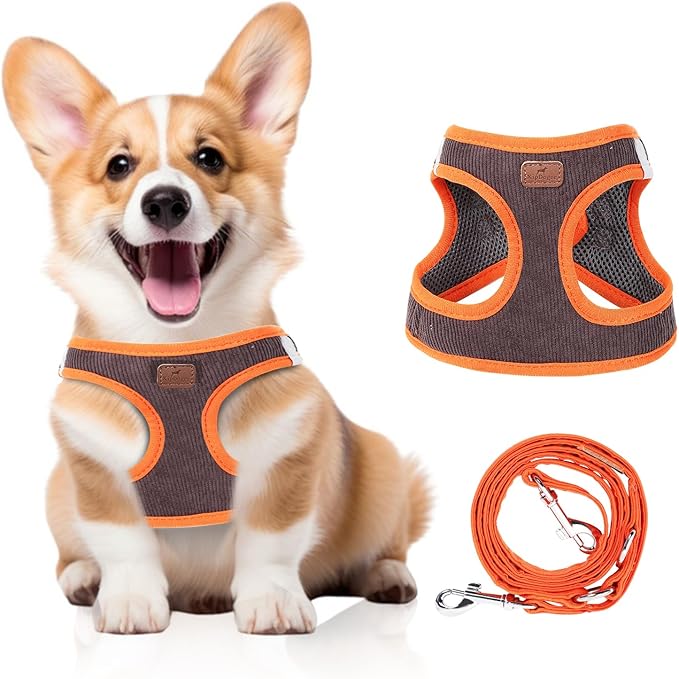 Dog Harness with Multifunction Dog Leash,No Pull Reflective Step-in Harness for Soft Adjustable No Choke Escape Proof,Easy Walk Dog Harness for Medium Dogs (Orange&Dark Grey, L)