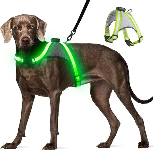 Visinite LED Dog Harness, USB Rechargeable Light Up Dog Harness Vest, 2 Illuminate Modes Glow in The Dark Dog Harness, Adjustable Lighted Dog Harness Light for Night Walking Safety (Green, Small)