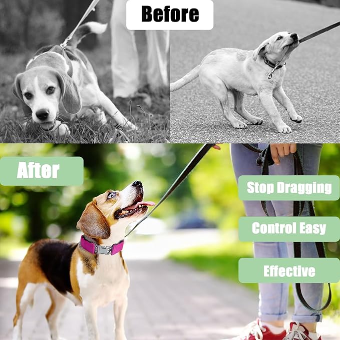 Prong Training Collar for Dogs, Adjustable Dog Pinch Collar with Quick Release Buckle, No Pull Collar for Small Medium Large Dogs, Extra Link and Caps