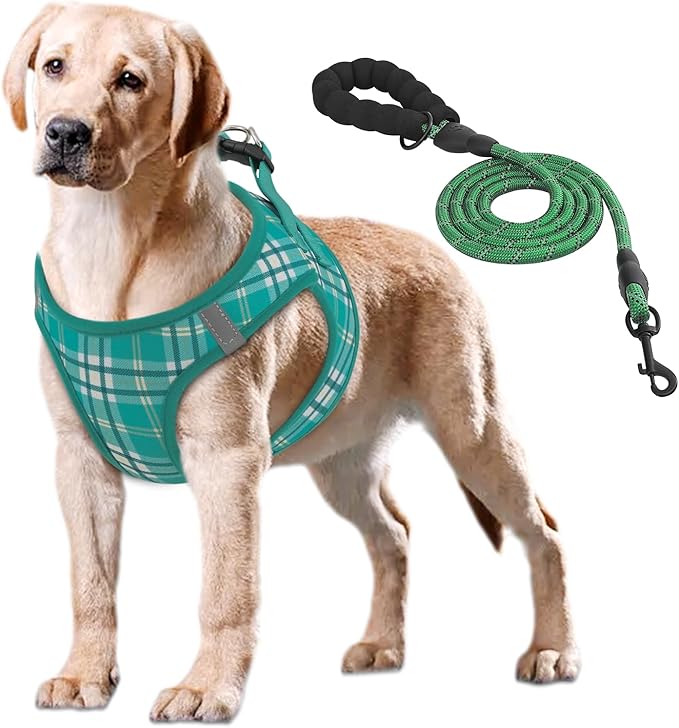 Athena Collection Step-in Dog Harness with 5 ft Leash, Large Dog Harness Leash Set Large No Pull Dog Vest Harness with Reflective Strips Adjustable Velcro, Easy Walk Dog Harness, Green