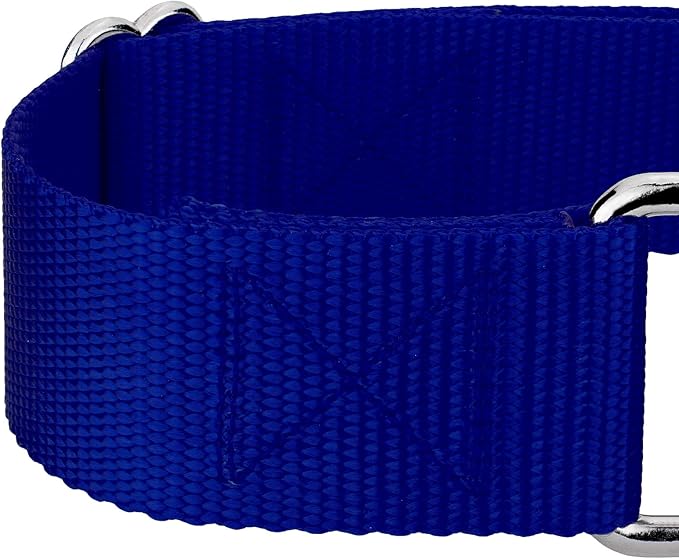 Country Brook Petz 1 1/2 Inch Martingale Heavy Duty Nylon Adjustable Dog Collar for Small, Medium, Large Breeds - Vibrant 17 Color Selection (Royal Blue, Large)