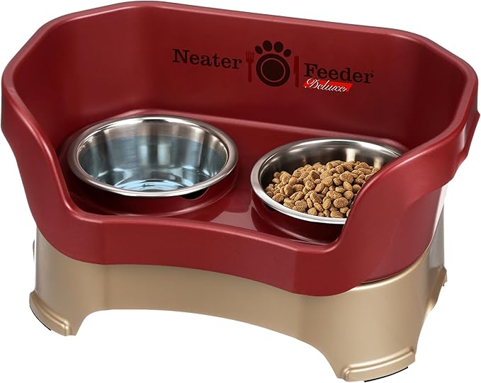 Neater Feeder Deluxe Mess Proof Dog Bowls Elevated Medium Sized Dog Breed – Made in USA – No Spill Raised Dog Food Bowl Stand – Stainless Steel Food and Water Bowl Set, Pet Feeding Station, Cranberry