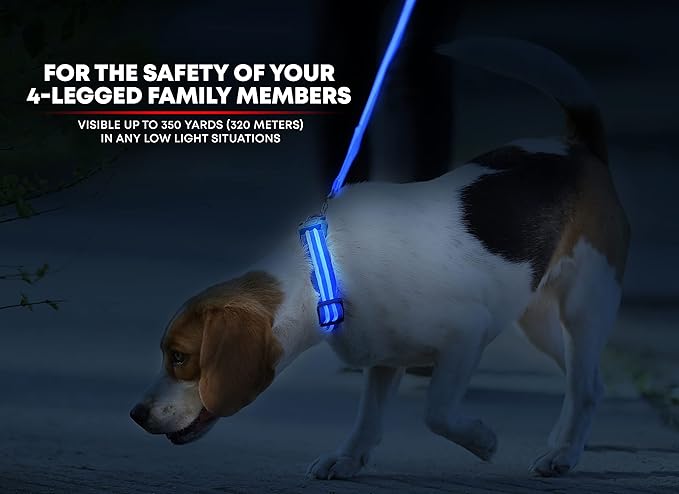 ILLUMISEEN LED Dog Collar USB Rechargeable - Bright & High Visibility Lighted Glow Collar for Pet Night Walking - Weatherproof, in 6 Colors & 6 Sizes (Blue X-Large)