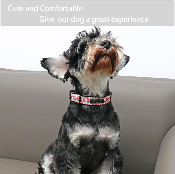 ARING PET Summer Dog Collar-Cute Watermelon Dog Collar for Medium Dogs, Adjustable Soft Cotton Girl Dog Collars for Small Medium Large Dogs, Medium