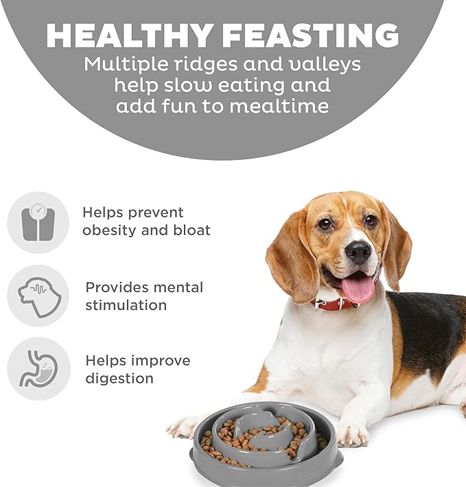 Outward Hound Fun Feeder Slo Bowl, Medium Slow Feeder Dog Bowl, 2 Cups, Gray