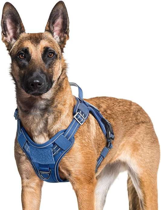 rabbitgoo Dog Harness for Large Dogs No Pull, Tactical Service Dog Vest with Molle and Control Handle, Adjustable and Reflective Military Pet Harness for Easy Walking and Training, Blue, XL