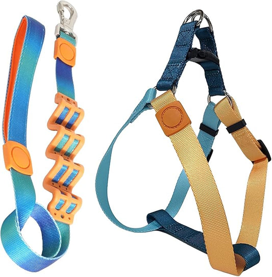 Tri-Color Dog Harness and Purple Pink Gradient Shock Absorbing Dog Leash Set,Step-in Freedom Dog Vest Harness,Strong Padded Handle to Help Stop Pulling for Small Dog Walking and Traning