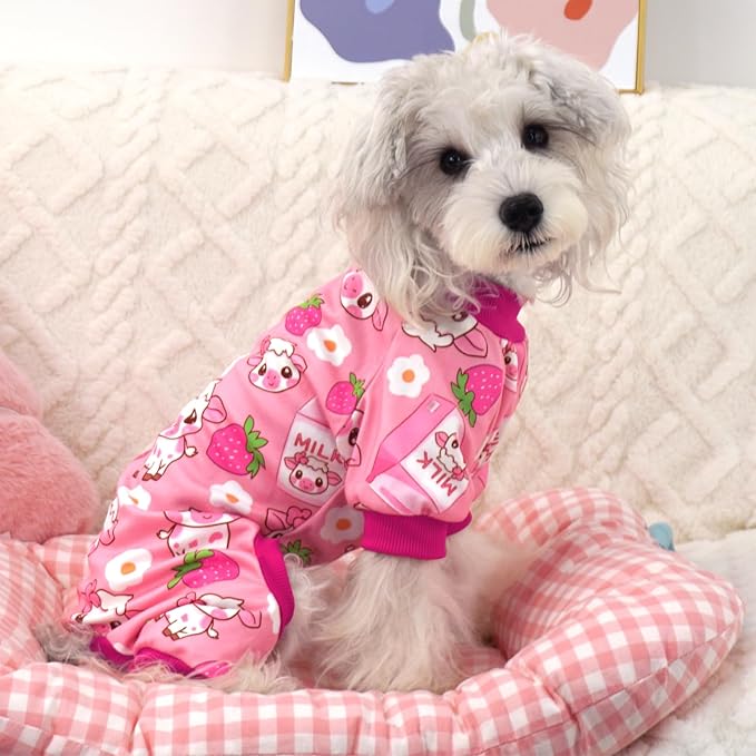 XPUDAC 4 Pieces Dog Pajamas for Small Dogs Pjs Clothes Puppy Onesies Outfits for Doggie Christmas Shirts Sleeper for Pet