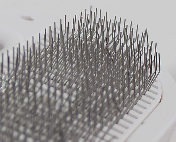 Penn-Plax Quick-Dry 2 in 1 Pet Grooming Tool – Doubles as a Dryer and Slicker Brush with 3 Air/Heat Settings – Safe for All Dogs and Cats