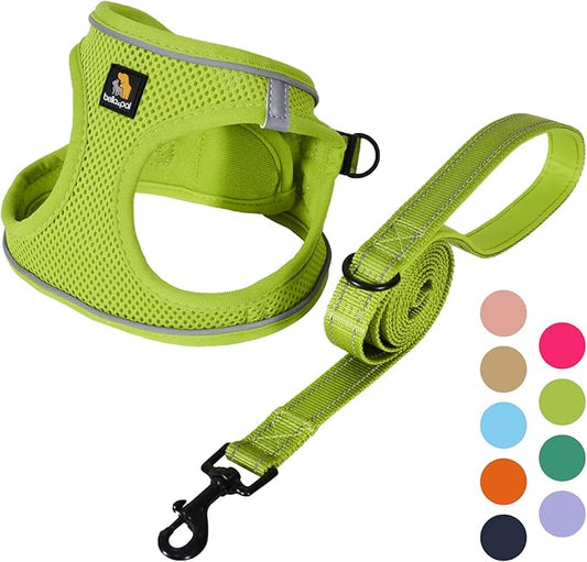 BELLA & PAL Puppy Harness with Leash Set, Dog Harness for Small Dogs No Pull, Dog Leash for Small Dogs, Step in Harness for Extra Small Dogs, Avocado Green Harness, XXS
